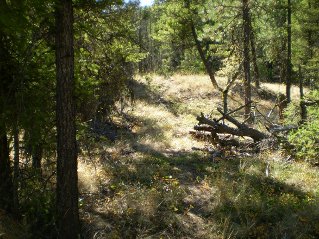 Trail climbs through grassy areas and intermittent plateaus, Yellow Lake Trail 2014-09.